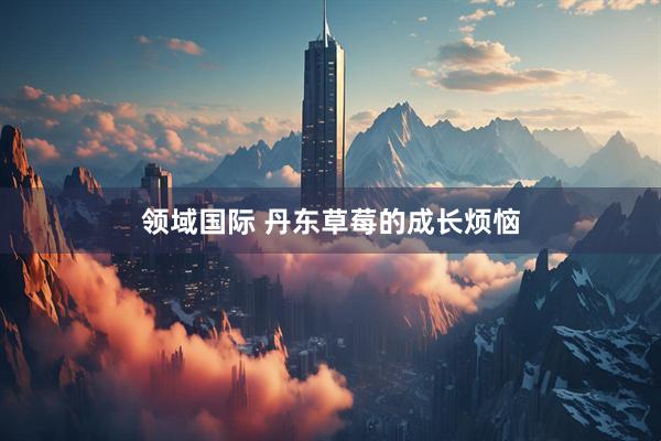 领域国际 丹东草莓的成长烦恼